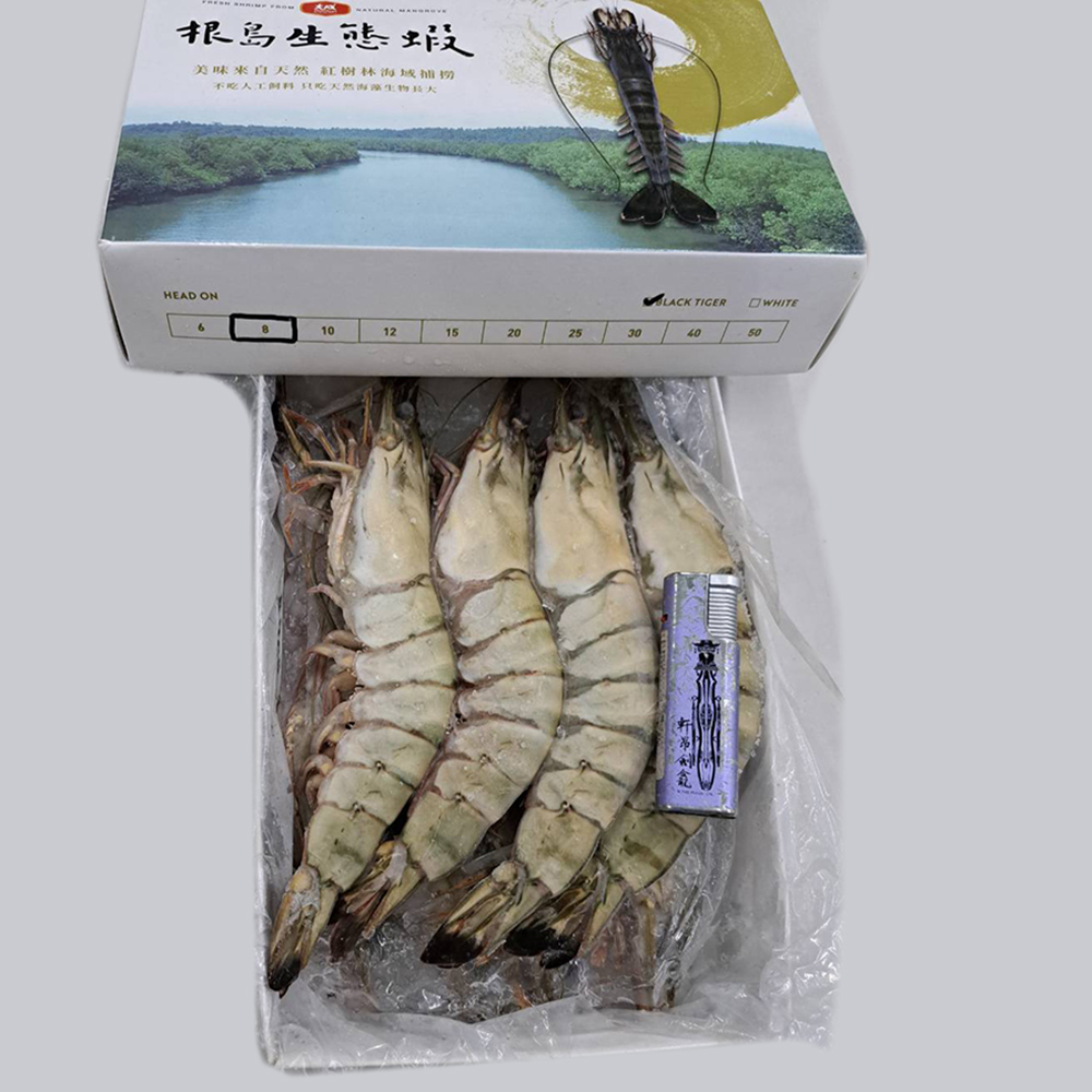 悅生活--鮮市集 罕見8P野生海養無毒生態根島蝦800g±5%/盒