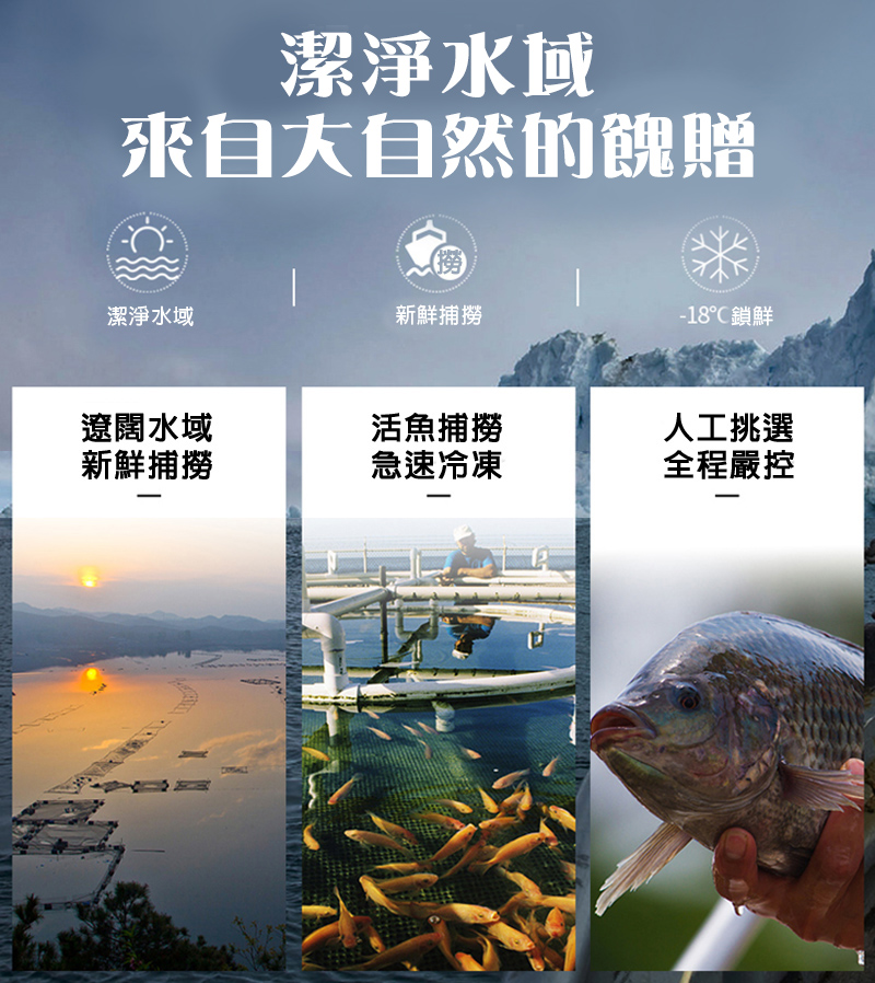 悅生活--鮮市集 台灣海撈鮮凍雙A級極品鯛魚下巴1000g±5% / 包(飯店專用)