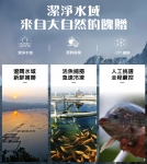 悅生活--鮮市集 台灣海撈鮮凍雙A級極品鯛魚下巴1000g±5% / 包(飯店專用)