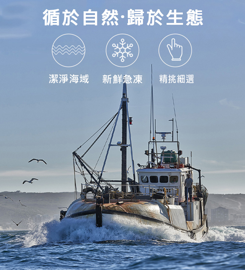 悅生活--鮮市集 阿根廷深海大魷魚串185g±4/隻 5隻/包